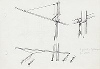 174 4 grisette e 1 paterazzo per albero